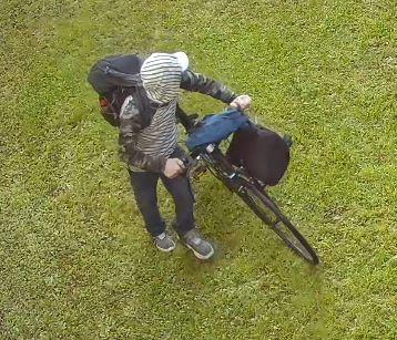 NY State Police looking for Owego burglary suspect
