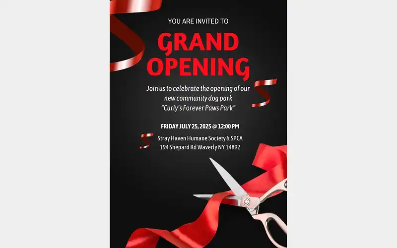 Stray Haven to hold grand opening for dog park