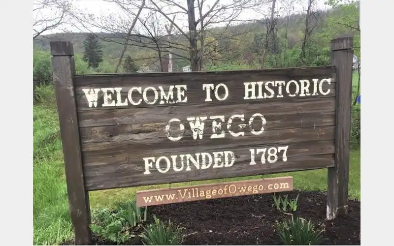 Village of Owego looking into new law on chickens