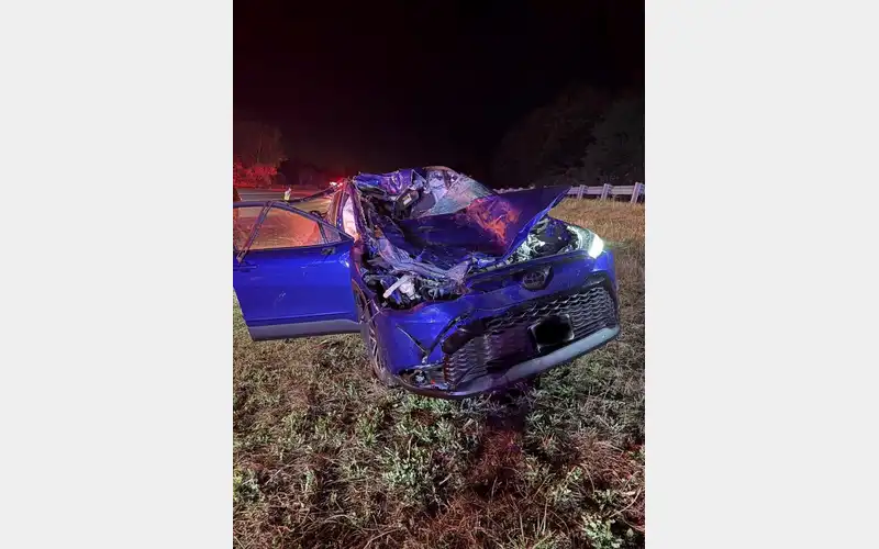 Car vs. cow accident on Interstate 86