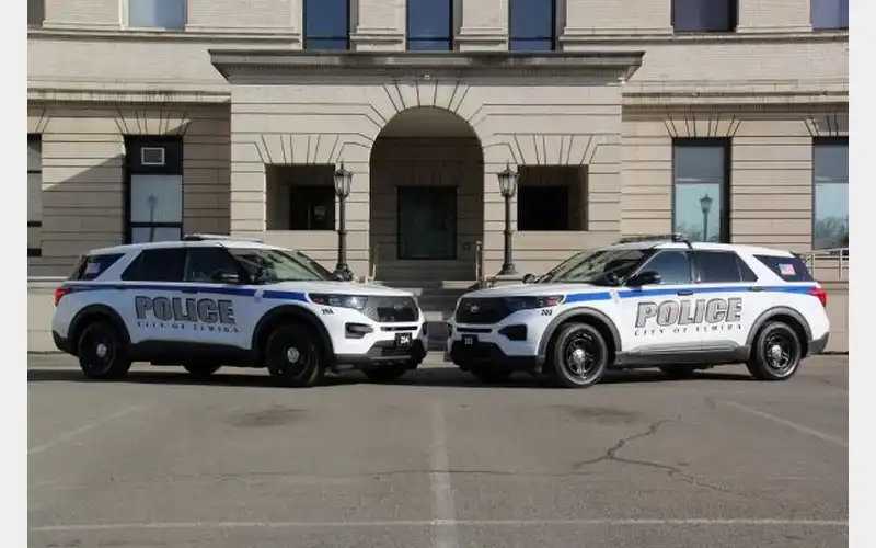 Elmira man sentenced to state prison time for hammer attack