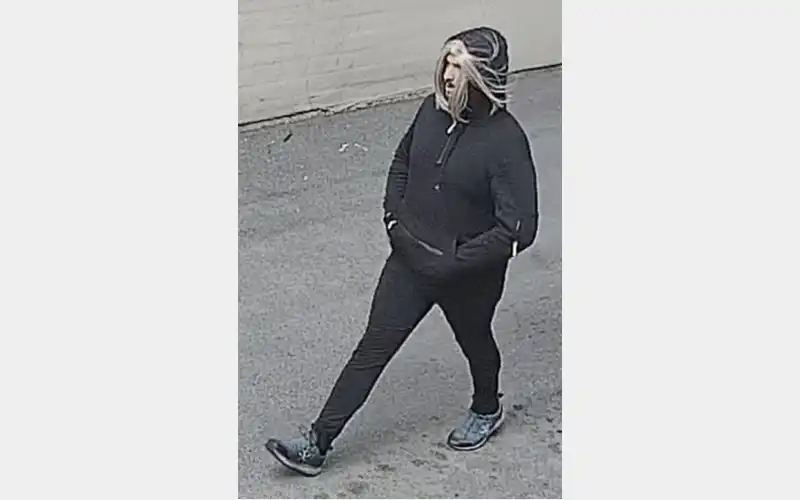 Steuben deputies searching for alleged armed robbery suspect