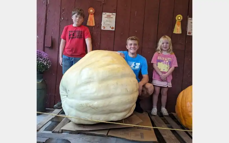 Tioga County 4-H giant pumpkin record broken
