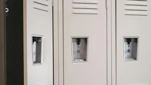 Bill introduced as response to federal education cutbacks