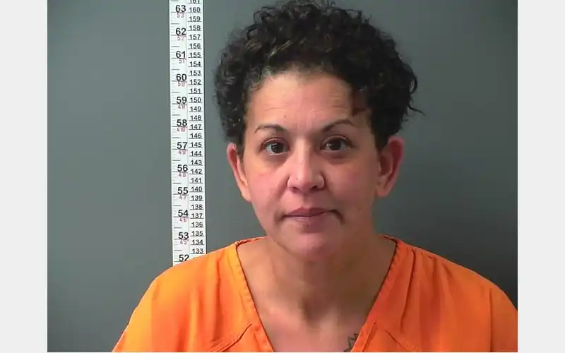 Woman sentenced in $210K Canton business theft