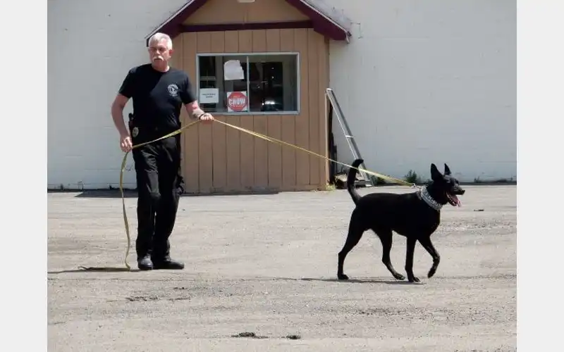Owego Police Department mourning loss of K-9 Sig