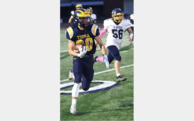 Tioga captures Section IV Class D title
