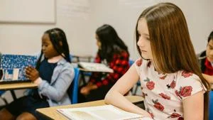 Assessment results for 2024-2025 school year released