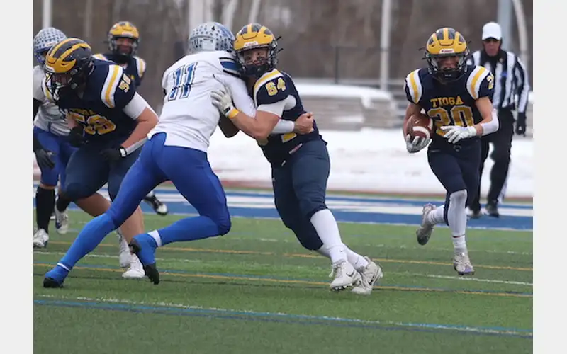 Tigers take down Newfane, punch ticket to state finals