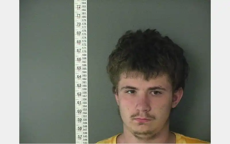 Laceyville man sentenced to state prison for stealing cars