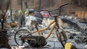 Fires, unrest, lawsuits, politics dominate Southwest in 2025