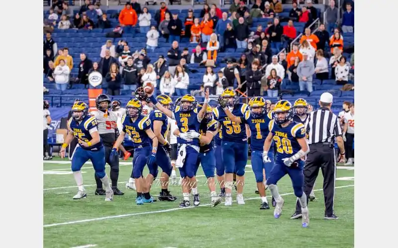 Tigers bring home state title