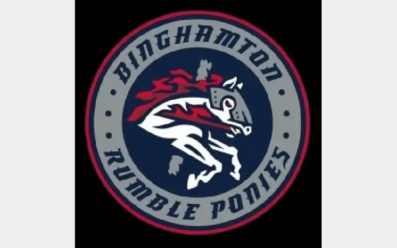 Rumble Ponies donate $15K to local organizations