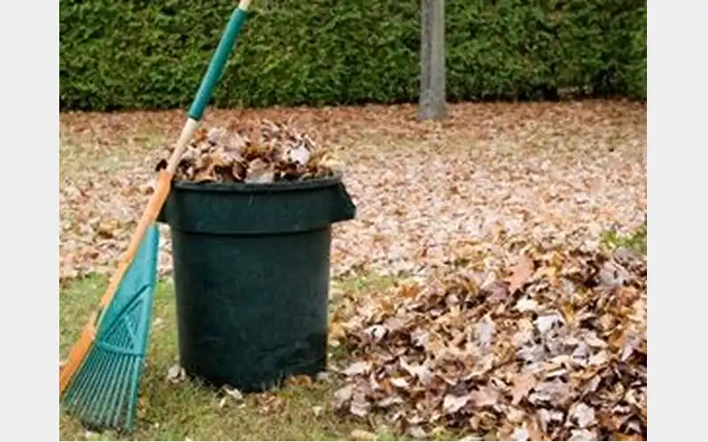 Town of Owego yard waste disposal starts Saturday