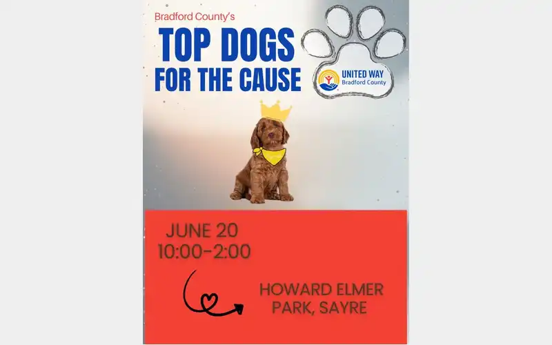 Top Dogs for the Cause to benefit United Way of Bradford County on Saturday